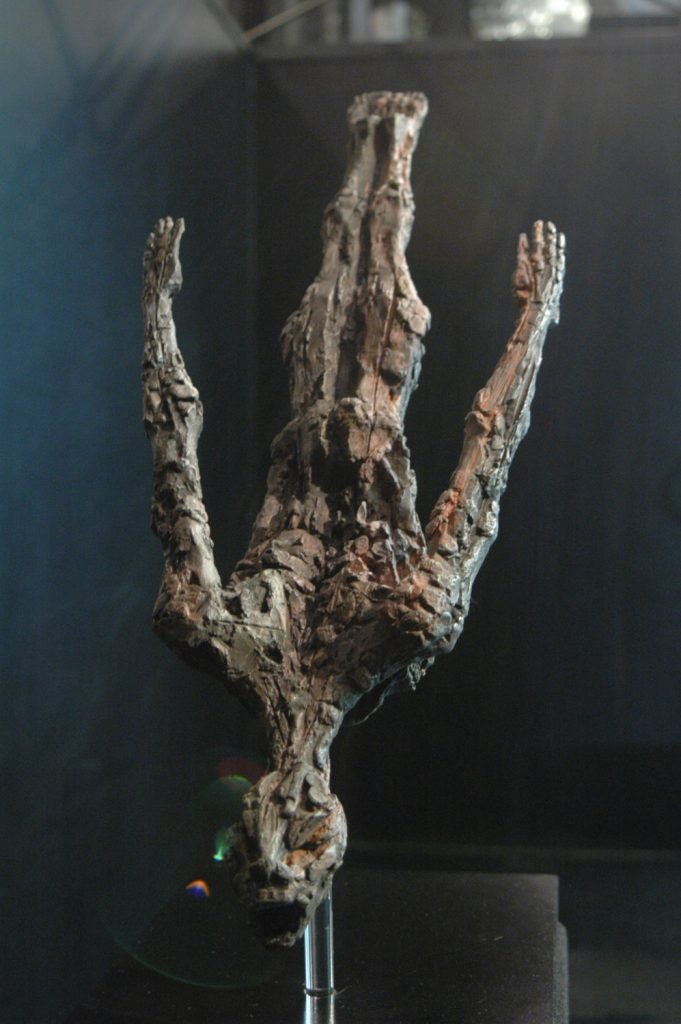 Clavado_50x30x60cm_140cm_2005_3