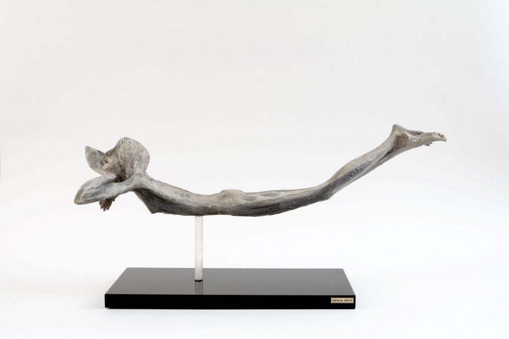 Martina_74x26x20cm_acrilico_2008